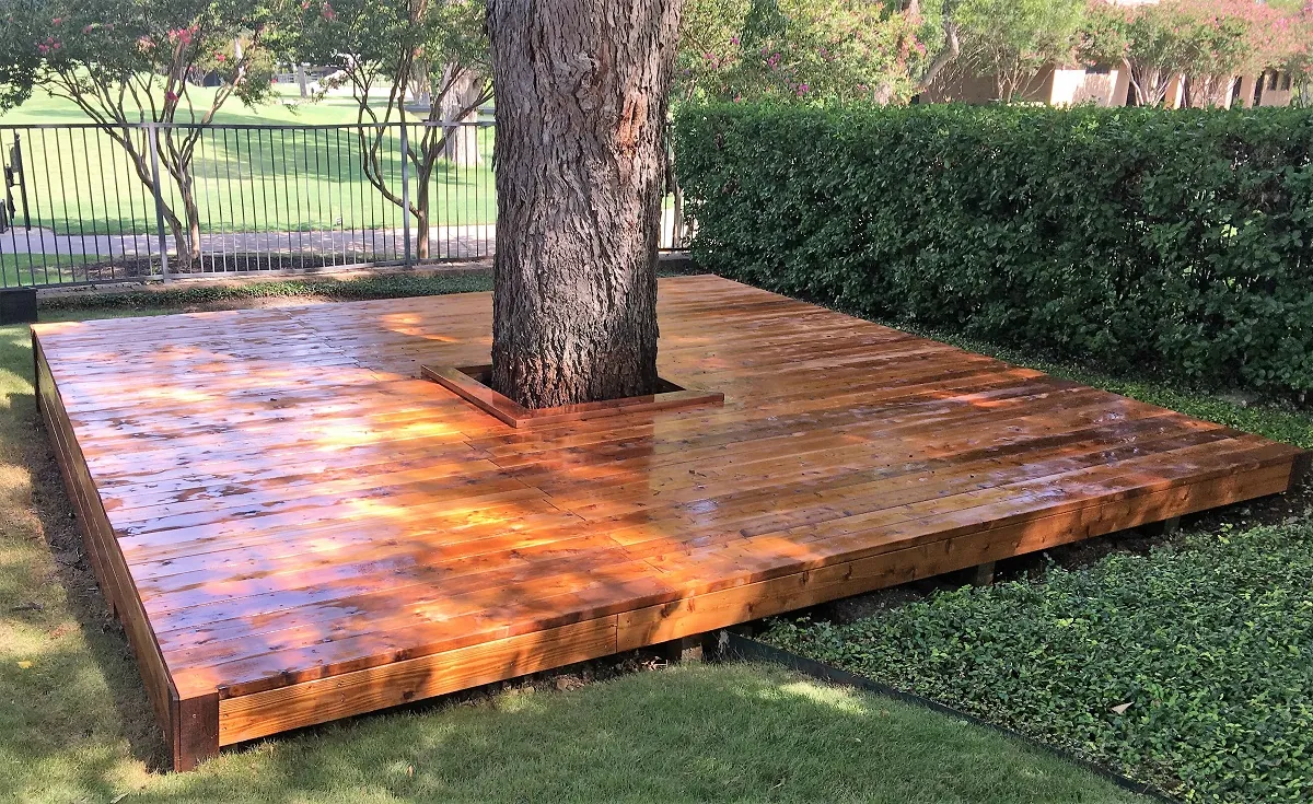 Cedar deck built around a tree trunk with a fresh coat of deck stain