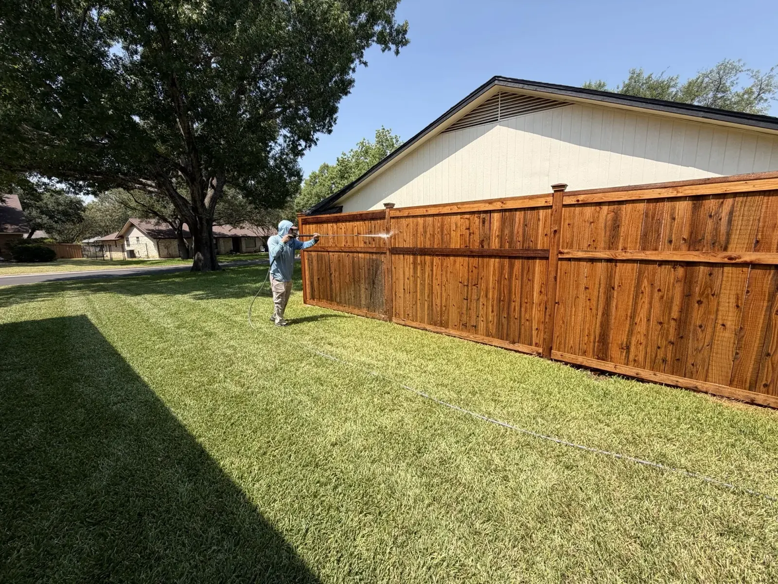 Cedar fence and lawn during a fence cleaning job in the San Antonio area